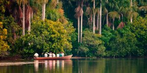 All you Need to Know about Puerto Maldonado and the Peruvian Amazon